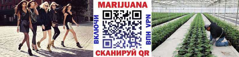 Где купить наркоту Гай COCAIN  МЕТАМФЕТАМИН  Меф  Амфетамин  Псилоцибиновые грибы  ГАШ  Конопля 