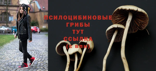 ГАЛЛЮЦИНОГЕННЫЕ ГРИБЫ Шали