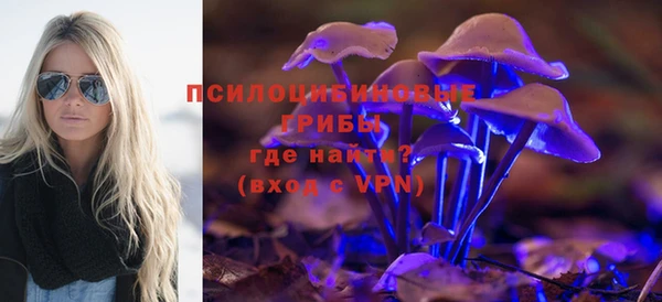 ГАЛЛЮЦИНОГЕННЫЕ ГРИБЫ Шали