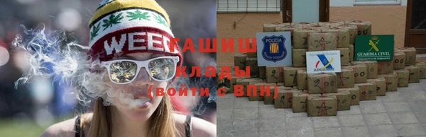 ГАЛЛЮЦИНОГЕННЫЕ ГРИБЫ Шали