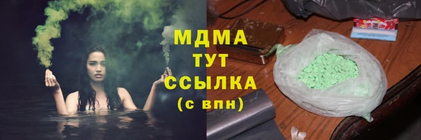 ГАЛЛЮЦИНОГЕННЫЕ ГРИБЫ Шали