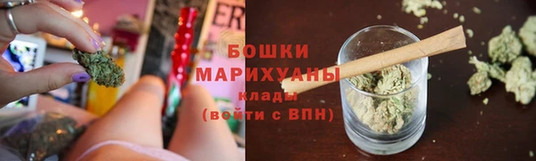 мдпв Шарыпово