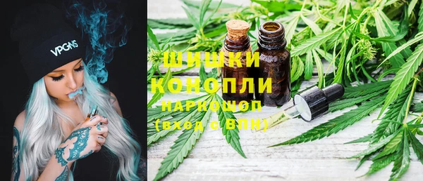 мдпв Шарыпово