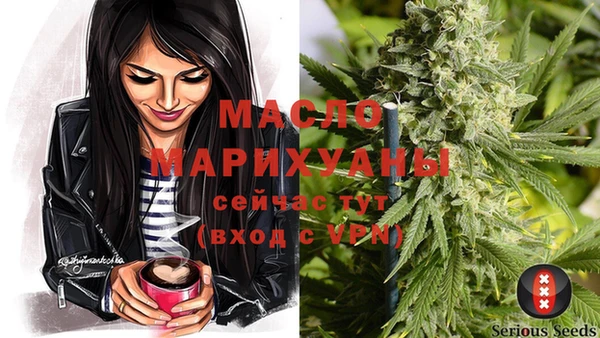 СК Шадринск