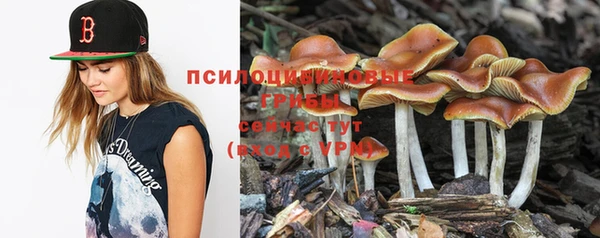 ГАЛЛЮЦИНОГЕННЫЕ ГРИБЫ Шали