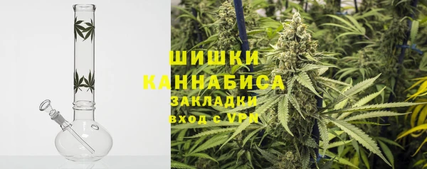 ГАЛЛЮЦИНОГЕННЫЕ ГРИБЫ Шали