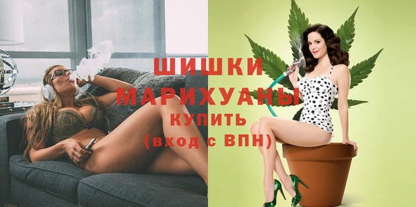 ГАЛЛЮЦИНОГЕННЫЕ ГРИБЫ Шали