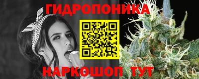 mix Лесосибирск