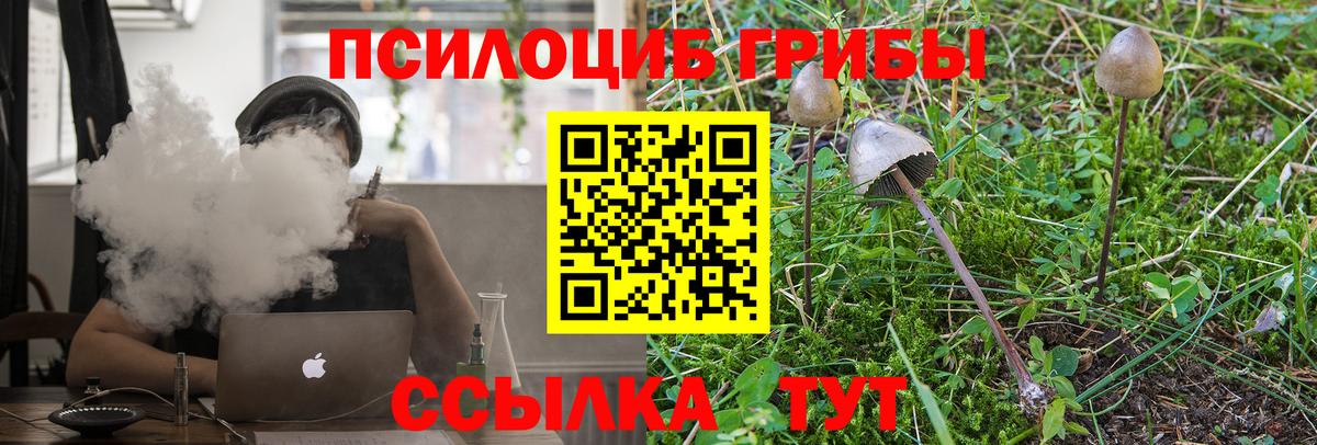 Псилоцибиновые грибы GOLDEN TEACHER  Вход с VPN  где купить наркоту  Гай 