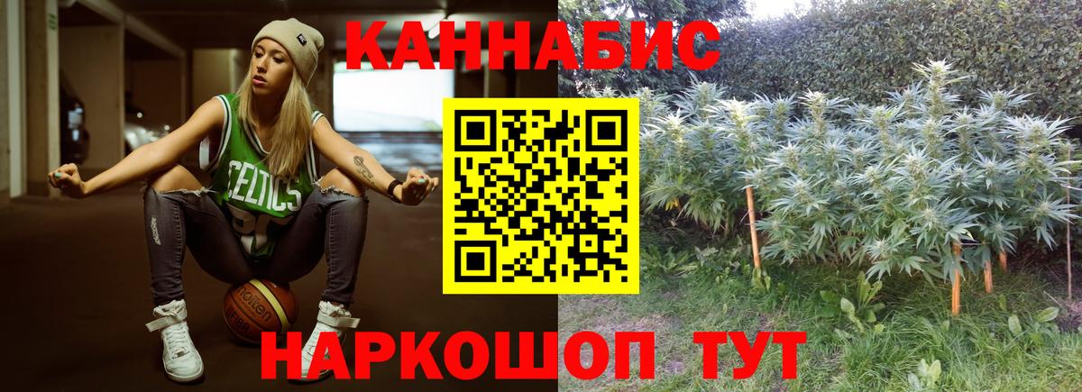 Марихуана White Widow Гай